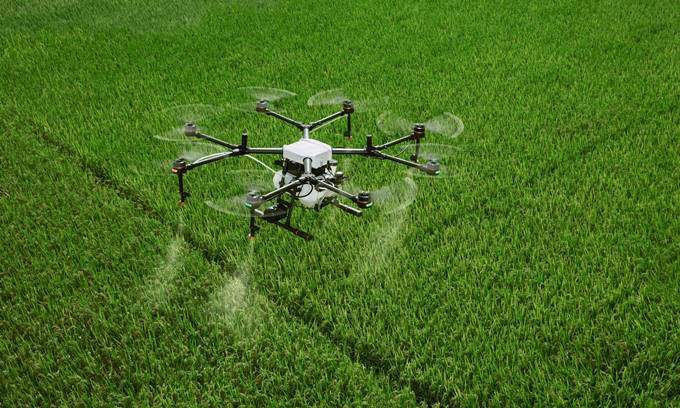 Drone - Agriculture