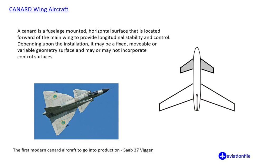 Canard Wing Aircraft