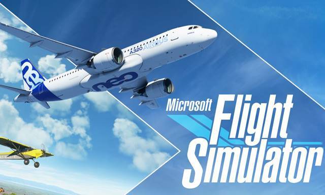 Microsoft Flight Simulator