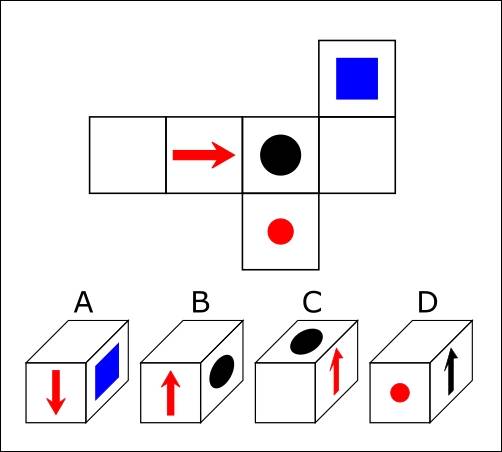 CUBE FOLDING Questions