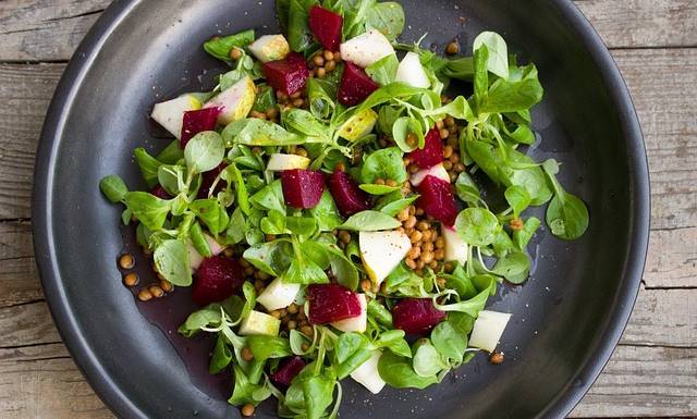 Vegan Meals During Flight