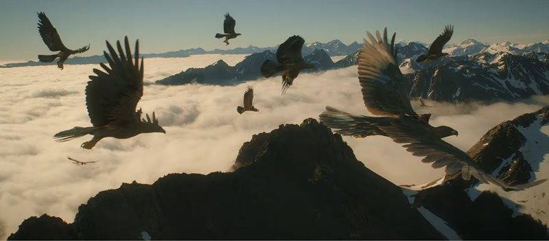 In The Hobbit, The Great Eagles save Bilbo and his friends from Azog and orcs...
