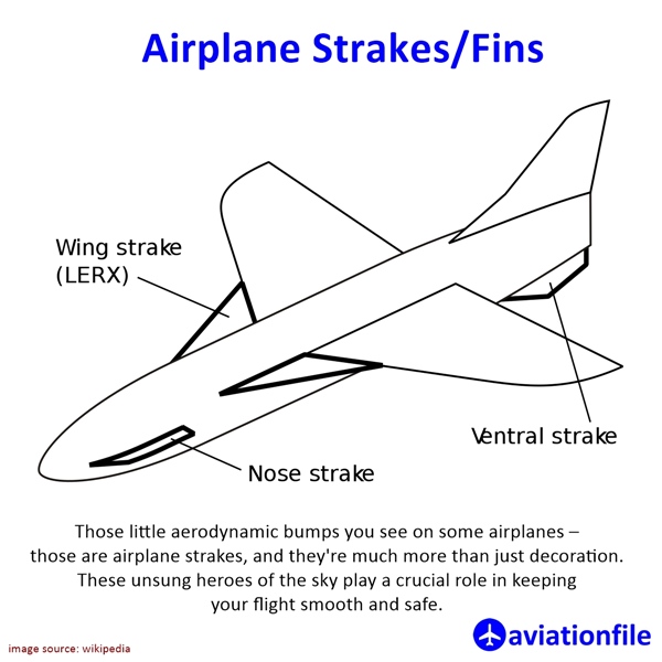 Strakes: Airplane Fins with Big Flight Dreams