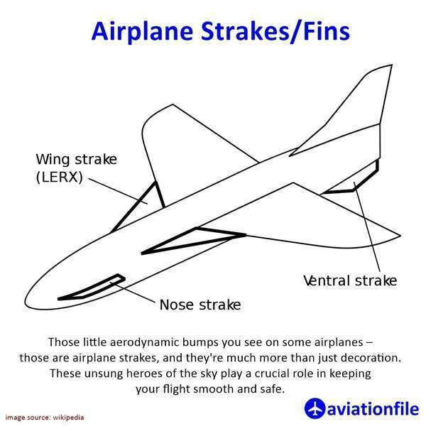 Strakes: Airplane Fins with Big Flight Dreams