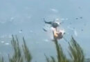 Greece Firefighting Helicopter Crash Two Killed in Mid-Air Collision Near Athens